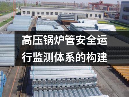 高壓鍋爐管安全運行監(jiān)測體系的構(gòu)建