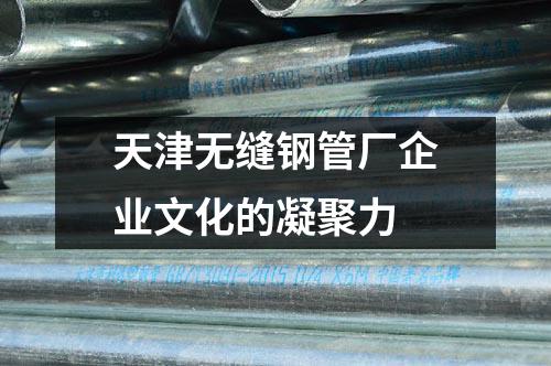 天津無縫鋼管廠企業(yè)文化的凝聚力