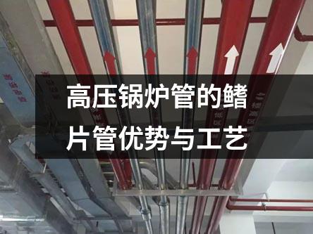 高壓鍋爐管的鰭片管優(yōu)勢(shì)與工藝