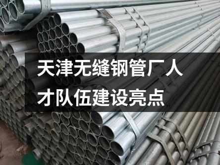 天津無(wú)縫鋼管廠人才隊(duì)伍建設(shè)亮點(diǎn)